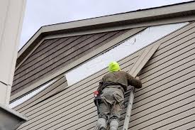 Best Historical Building Siding Restoration  in Philippi, WV